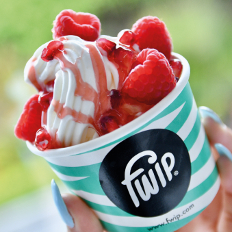Frozen Yogurt Eis Food Truck